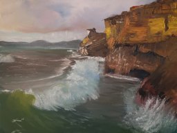 Côte-sauvage